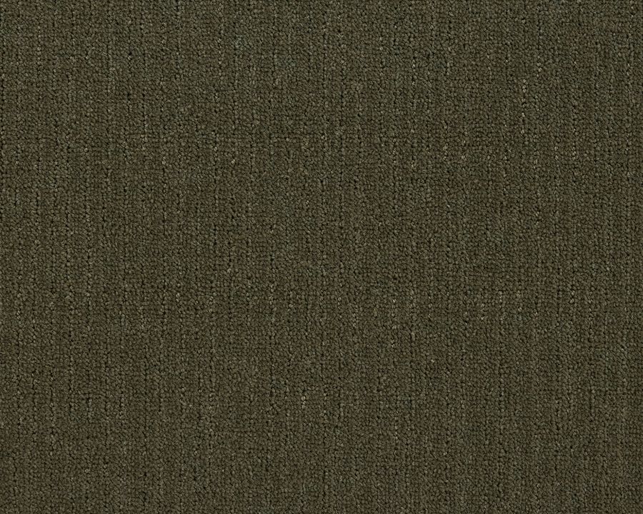 Moss 1